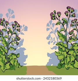 Big blooming burdock. Vector drawing