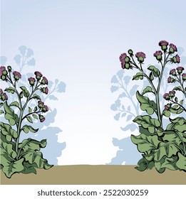 Big blooming burdock. Vector drawing