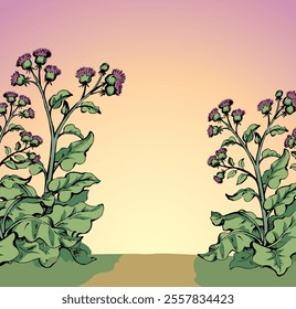 Big blooming burdock. Vector drawing