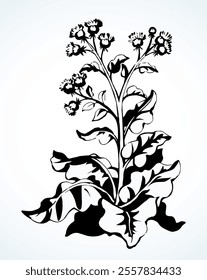 Big blooming burdock. Vector drawing