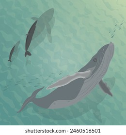 Big blue baleen whale with family swimming through the sea, cartoon illustration on blue background	