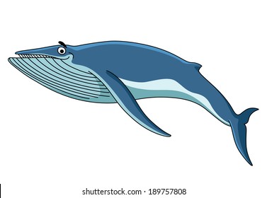 Big Blue Baleen Whale Swimming Through The Sea, Cartoon Illustration Isolated On White