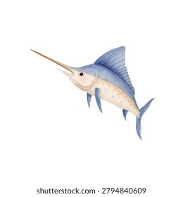 Big blue sailfish with white belly