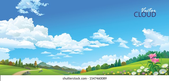 Big blue skies over the landscape of flowers, meadows and forests