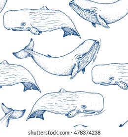 Big blue and sperm whales - vector hand drawn seamless pattern design. Huge swimming aquatic mammal ink sketch