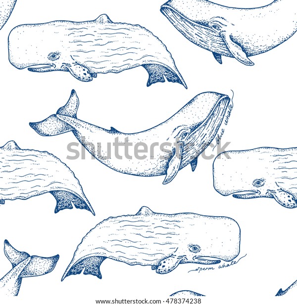 Big Blue Sperm Whales Vector Hand Stock Vector (Royalty Free) 478374238 ...