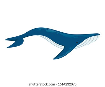 Big blue whale cartoon animal design biggest mammal on the earth flat vector illustration isolated on white background