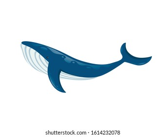 Big blue whale cartoon animal design biggest mammal on the earth flat vector illustration isolated on white background