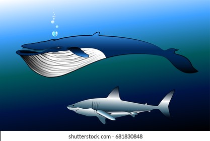 big blue whale and great white shark