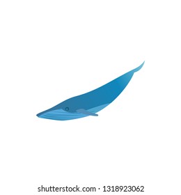 Big blue whale icon isolated on white background. Vector ocean fish illustration