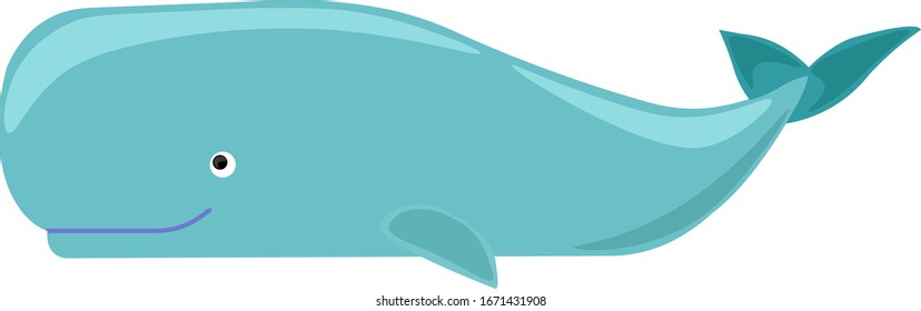 Big blue whale, illustration, vector on white background.