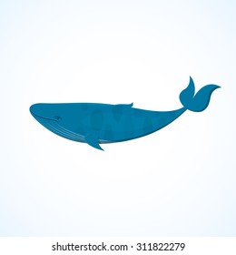 Big blue whale, the inhabitant of the underwater world, beautiful vector illustration in realistic style