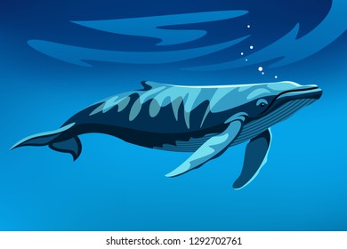 big blue whale in the ocean. underwater world