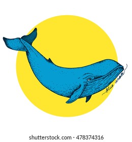 Big blue whale - vector hand drawn abstract illustration. Huge swimming aquatic mammal ink sketch