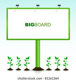 big board growing among small trees
