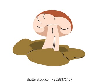 Big boletus mushroom growing on forest floor. King bolete with thick stem, fungus growth on moss. Porcini in fall nature, seasonal autumn food. Flat vector illustration isolated on white background