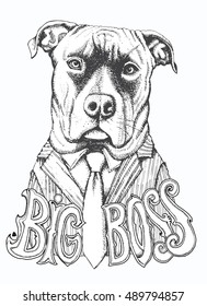 Big Boss lettering. Humorous Stafford-shire Terrier dog portrait in a shirt, tie, striped suit. Black and white hand drawn vector illustration. Coloring book page for adults and children.T shirt print