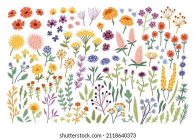 Big botanical set of doodle wild flowers, twigs, leaves, herbs and other elements. Hand drawn Vector Set. Colorful trendy illustration. All elements are isolated. Perfect For your own design