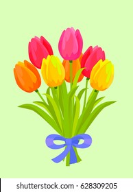 Big bouquet of colorful tulips. Yellow, orange, red and pink tulips bounded with blue ribbon flat vector. Spring flowers illustration