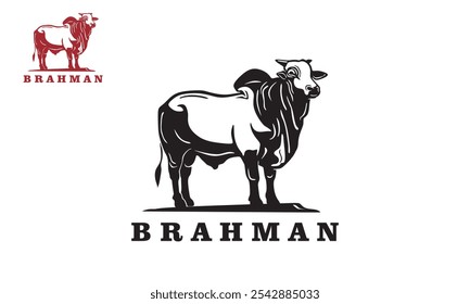 big brahman cattle logo, silhouette of strong cow standing vector illustrations