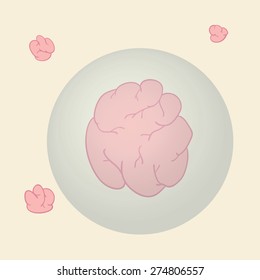 Big brain in glass ball and small brains outside glass ball show box of think.