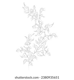 big branch with leaves hand drawn line drawing vector