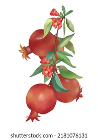 The big branches of red Pomegranate fruit, small flowers and green leaves. Watercolor flat vector, isolate image.