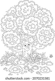 Big branchy oak tree, bushes and mushrooms in grass on a pretty forest glade, black and white outline vector cartoon illustration for a coloring book page