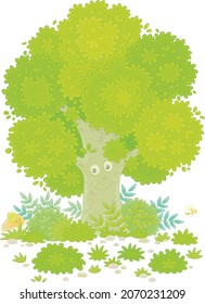 Gran árbol de roble de ramificación, arbustos verdes, hierba y champiñones sobre un bonito cristal de bosque, ilustración vectorial de dibujos aislados en un fondo blanco