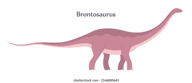 Big brontosaurus with a long neck and tail. Herbivorous dinosaur apatosaurus of the Jurassic period. Vector cartoon illustration isolated on a white background