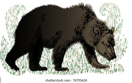 Big brown bear goes quietly. Illustrator 8.