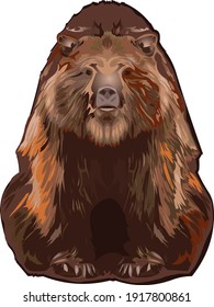 Big brown bear realistic vector illustration isolated