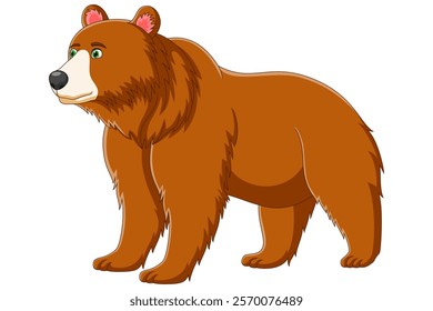 Big brown bear. Vector illustration