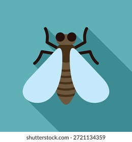Gran insecto mosca marrón está extendiendo sus alas sobre un fondo turquesa