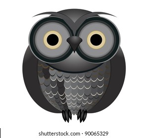 Big brown owl, isolated on white background/Owl