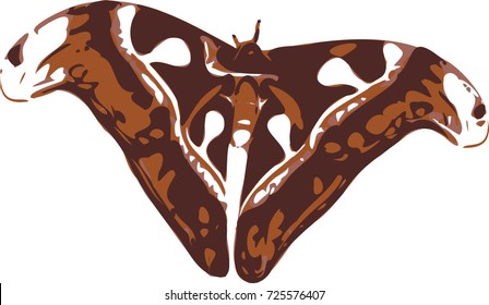 Big brown vector butterfly