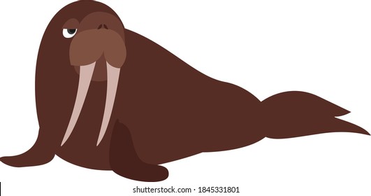 Big brown walrus, illustration, vector on white background
