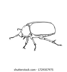 Esbozo de esquema de Big bug Dibujo de mano de arte vectorial