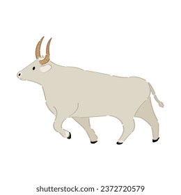 Big bull on white background