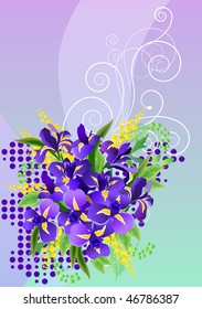 Big  bunch of irises and mimosa with free space for your text