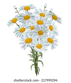 Of daisies images 