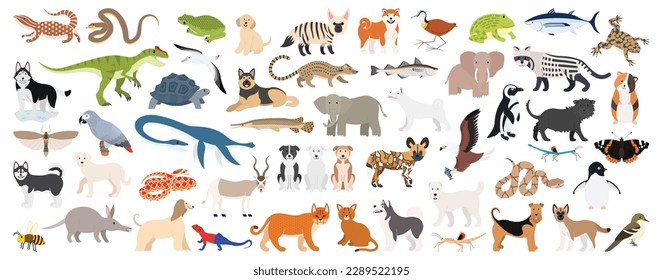 Big bundle of 50 wild animals. A collection of cute animals in colorful cartoon characters isolated on white background. Vector graphic illustration, flat style.