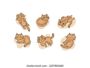 Big bundle of cute cats playing, sleeping. Set of cartoon pet animals isolated on white background. Flat vector illustration. Stickers kittens in different poses, emotions in hand drawn style.