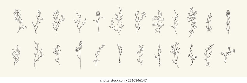 Big bundle of floral hand drawn illustration. Collection of vintage wild flower element
