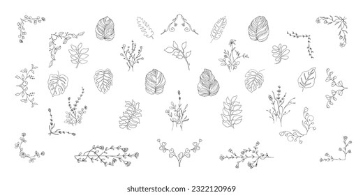 Big bundle of floral laurel and ornament hand drawn