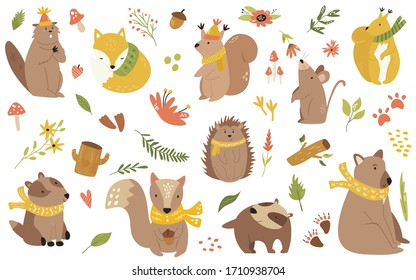 Big bundle of forest animals in scarfs. Woodland characters, vector illustration. For baby shower cards, greetings, prints