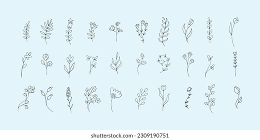 Big bundle of simple floral hand drawn illustration elements