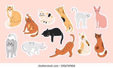 Big bundle of stickers with sleeping, funny, cute cats. Pins set of domestic pets, collection of washing kitty, hand drawn modern flat cartoon illustration in pastel colors isolated on pink background