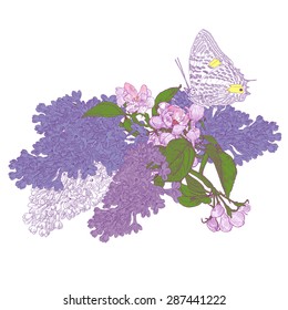 Big Butterfly Sitting Down on Blooming Lilac and Apple Tree Twigs. Colorful Vector Illustration. Hand drawn botanical style.