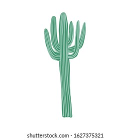 Big cactus in doodle style. Cute prickly green cactus. Cacti flower isolated on white background. Hand drawn floral vector illustration.